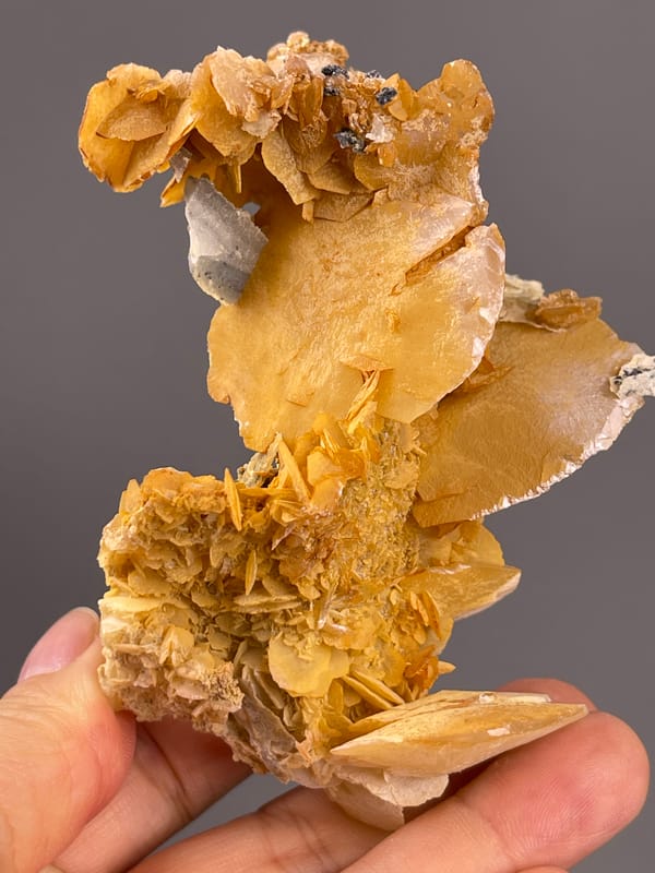 Calcite from Guangdong, China: vertical profile showing open gaps.
