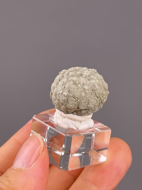 Calcite from Huanggangliang, Inner Mongolia, China: oblique view of the rounded layered outline.