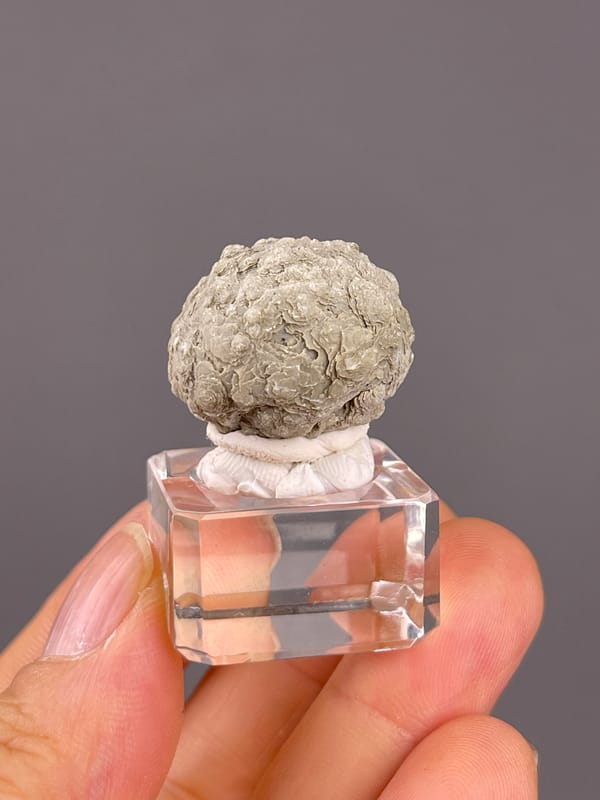 Calcite from Huanggangliang, Inner Mongolia, China: front view of the pale layered surface.