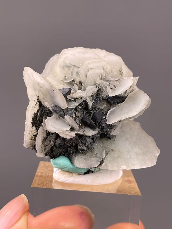 Calcite specimen from Longyan, Fujian, China featuring white blades over dark matrix