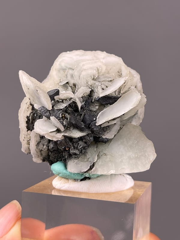 Calcite specimen from Longyan, Fujian, China showing white blades over dark matrix