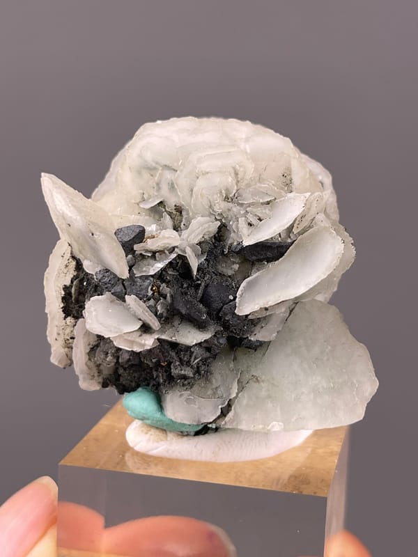 Calcite specimen from Longyan, Fujian, China, defined by white blades over dark matrix