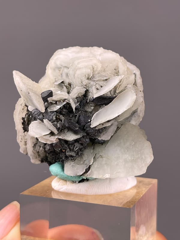 Calcite specimen from Longyan, Fujian, China presenting white blades over dark matrix