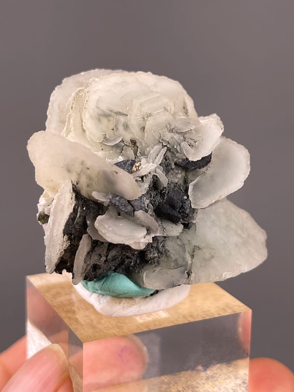 White blades over dark matrix visible on calcite specimen from Longyan, Fujian, China