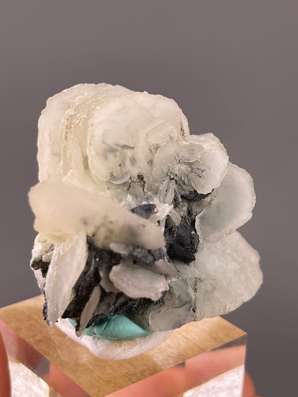 White blades over dark matrix on natural calcite specimen from Longyan, Fujian, China