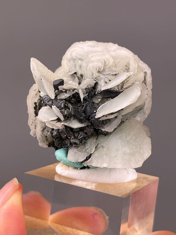 Calcite specimen from Longyan, Fujian, China highlighting white blades over dark matrix
