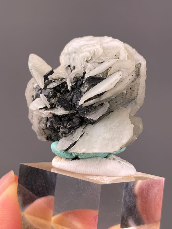 Calcite specimen from Longyan, Fujian, China, characterized by white blades over dark matrix