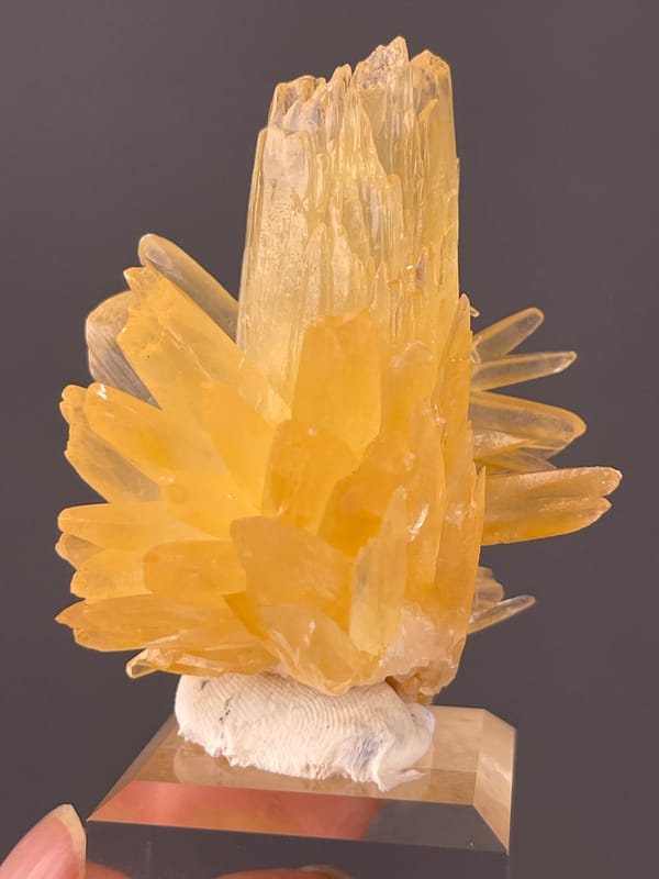 Calcite specimen from Wenshan, Yunnan, China featuring honey-yellow radiating blades