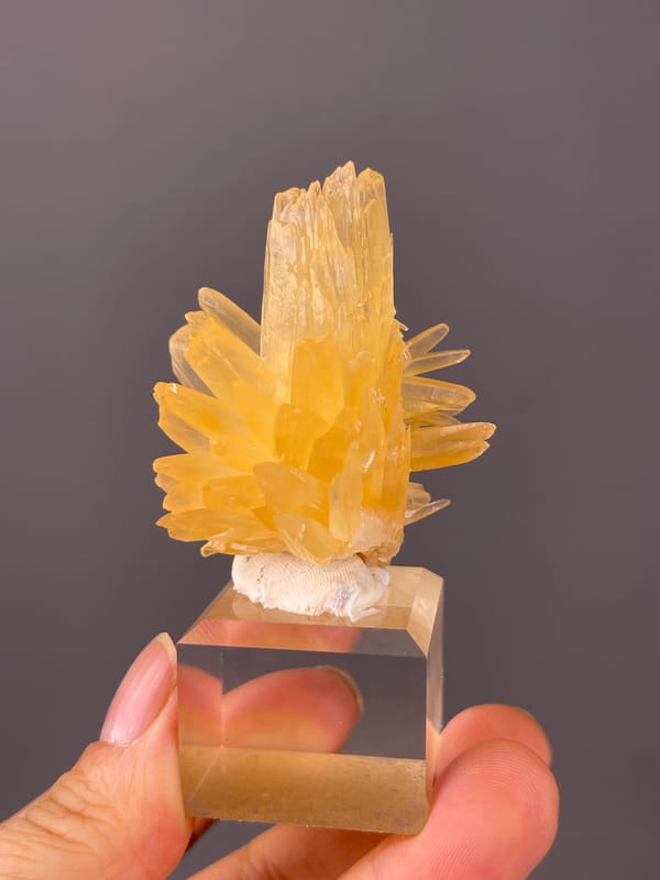 Calcite specimen from Wenshan, Yunnan, China showing honey-yellow radiating blades