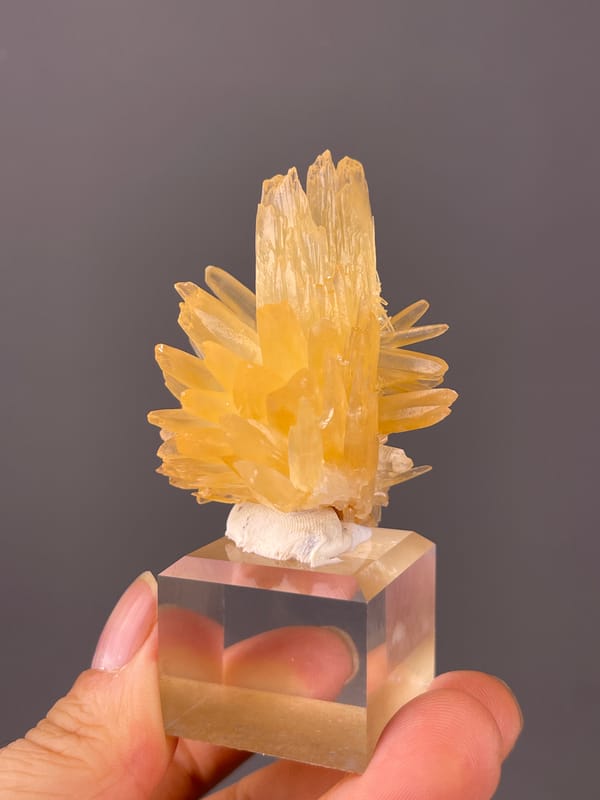 Calcite specimen from Wenshan, Yunnan, China presenting honey-yellow radiating blades