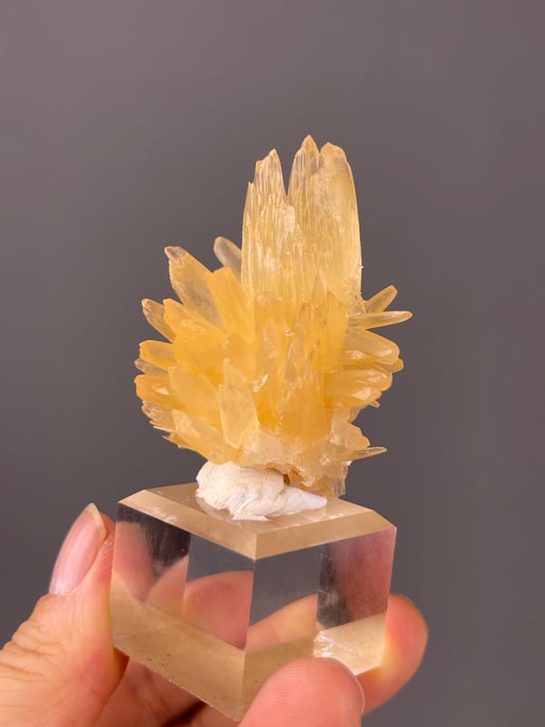 Honey-yellow radiating blades visible on Calcite specimen from Wenshan, Yunnan, China