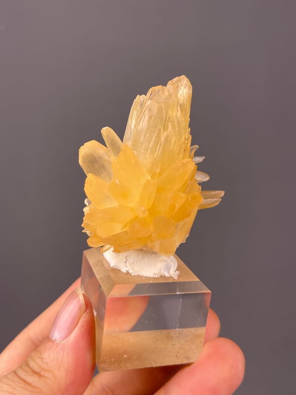 Calcite specimen from Wenshan, Yunnan, China displaying honey-yellow radiating blades