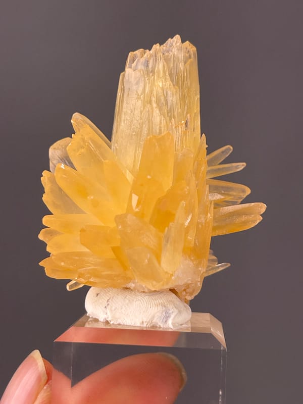 Honey-yellow radiating blades on natural Calcite specimen from Wenshan, Yunnan, China