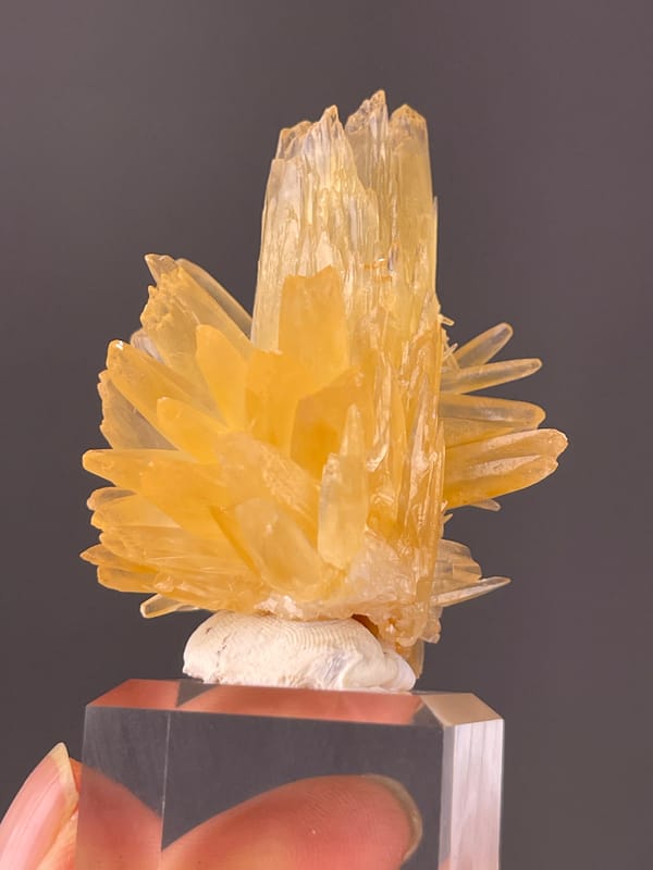 Calcite specimen from Wenshan, Yunnan, China highlighting honey-yellow radiating blades