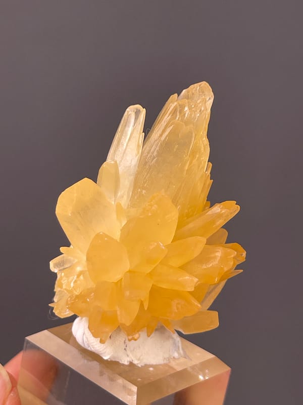 Calcite specimen from Wenshan, Yunnan, China bearing honey-yellow radiating blades