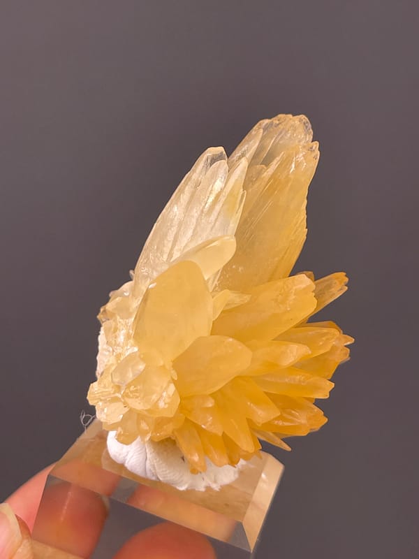 Natural Calcite specimen from Wenshan, Yunnan, China with honey-yellow radiating blades