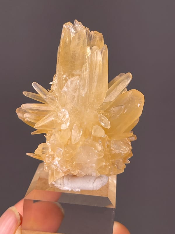 Calcite specimen from Wenshan, Yunnan, China, honey-yellow radiating blades