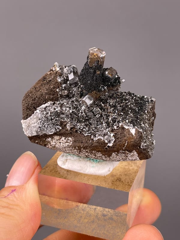 Calcite specimen from Longyan, Fujian, China showing dark prismatic crystals with brassy coating