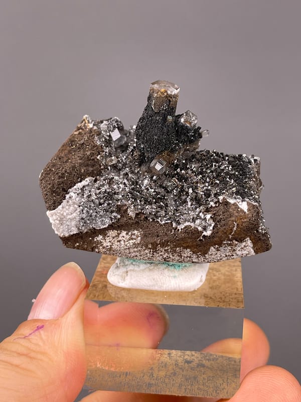 Calcite specimen from Longyan, Fujian, China, defined by dark prismatic crystals with brassy coating