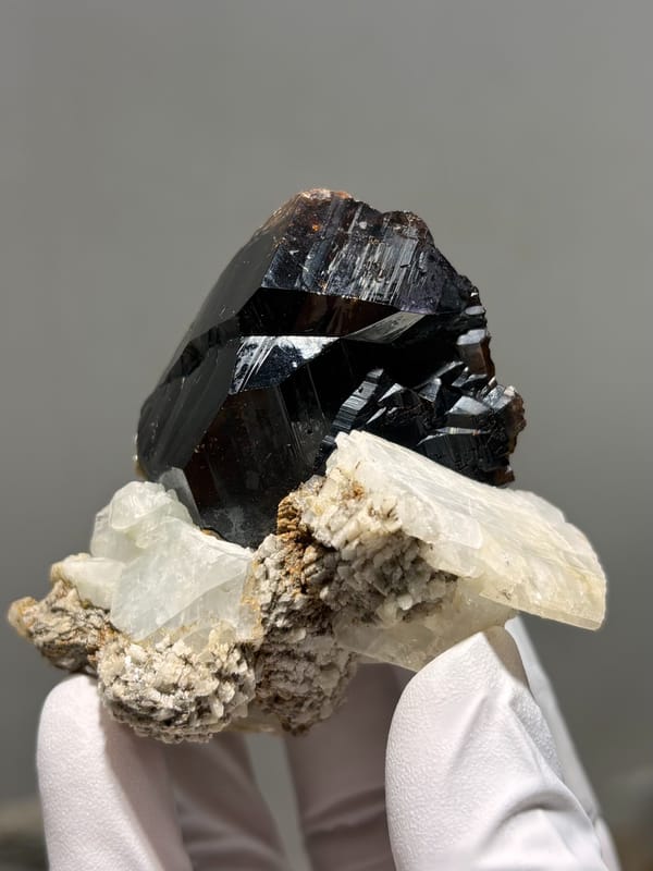 Large black cassiterite with albite, calcite and mica from Xuebaoding, Sichuan, China, held in gloved hand