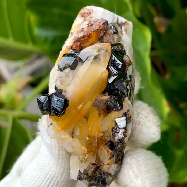 Glossy black cassiterite crystals with honey citrine on white matrix from Yunnan, China
