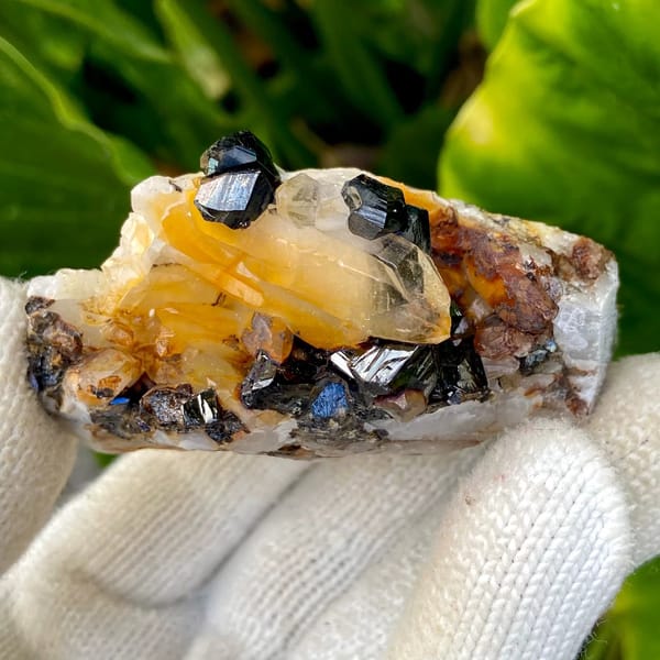 Glossy black cassiterite crystals with honey citrine on white matrix from Yunnan, China, view 2 of 9