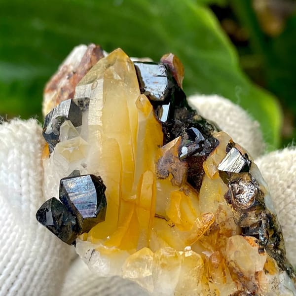 Glossy black cassiterite crystals with honey citrine on white matrix from Yunnan, China, view 7 of 9