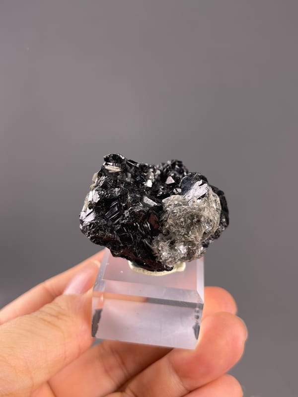 Cassiterite from Xuebaoding, China: reflective black cluster on a display base.