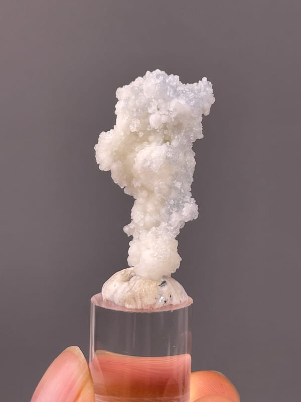 Celestite specimen from Longyan, Fujian, China showing white stalactitic drusy mass