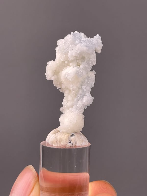 Celestite specimen from Longyan, Fujian, China, defined by white stalactitic drusy mass