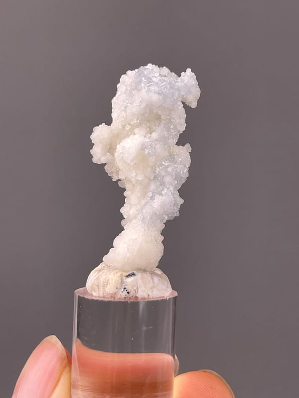 Celestite specimen from Longyan, Fujian, China presenting white stalactitic drusy mass