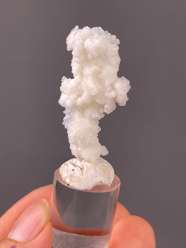 Celestite specimen from Longyan, Fujian, China displaying white stalactitic drusy mass