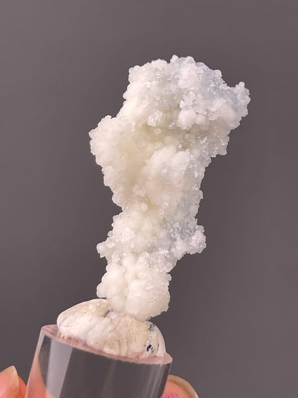 Celestite specimen from Longyan, Fujian, China highlighting white stalactitic drusy mass