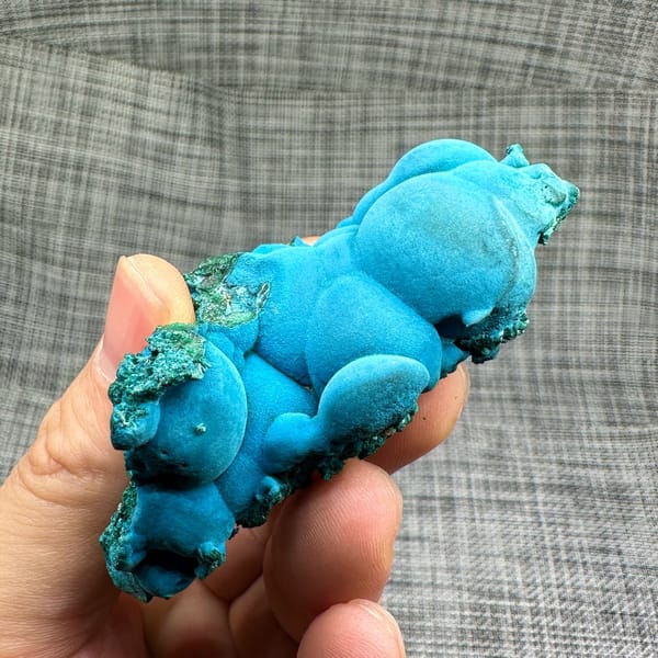 Sky-blue botryoidal chrysocolla over green malachite from DR Congo, view 5 of 6