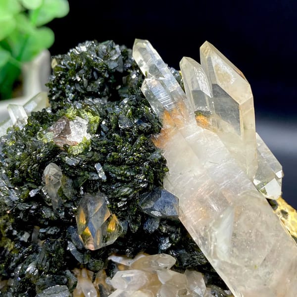Clear quartz points rising from dark green epidote from Sichuan, China, view 3 of 9