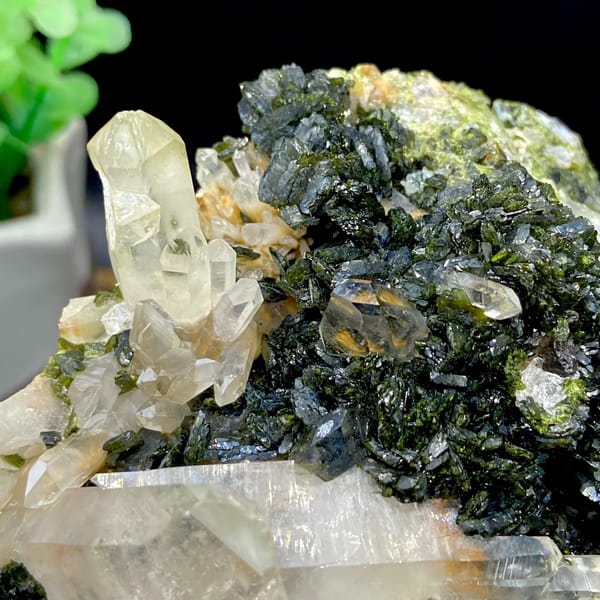 Clear quartz points rising from dark green epidote from Sichuan, China, view 4 of 9