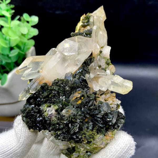 Clear quartz points rising from dark green epidote from Sichuan, China, view 7 of 9