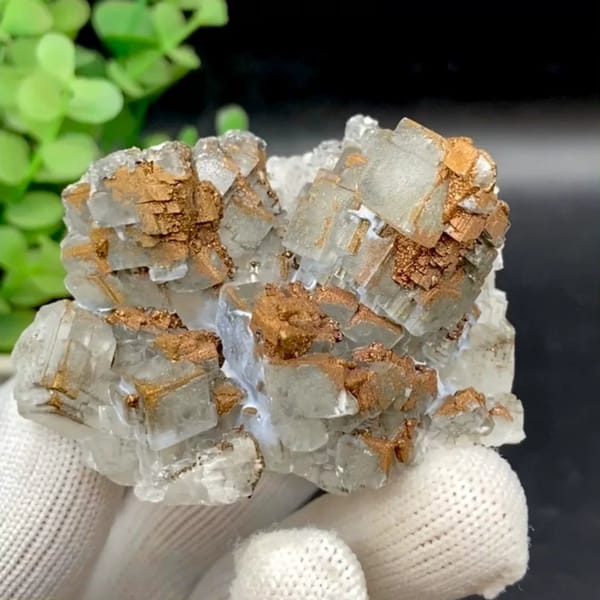 Clear Iceland spar calcite rhombs with iridescent pyrite coating from Hunan, China