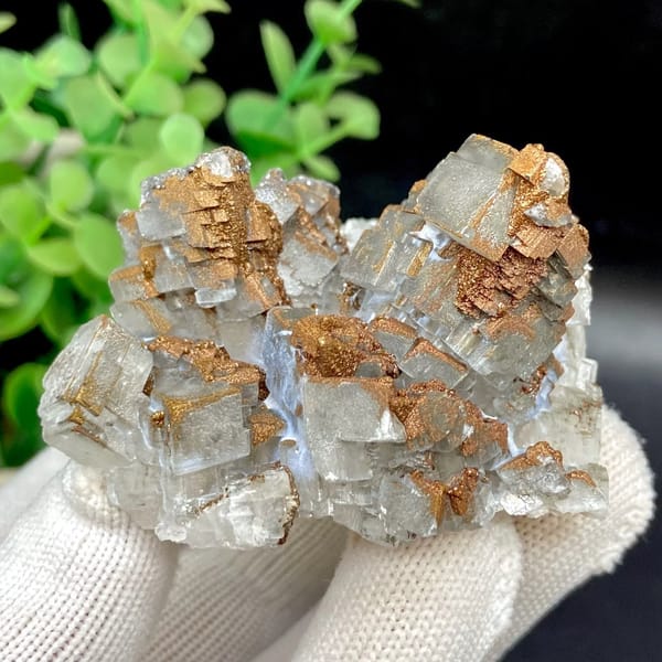 Clear Iceland spar calcite rhombs with iridescent pyrite coating from Hunan, China, view 2 of 9