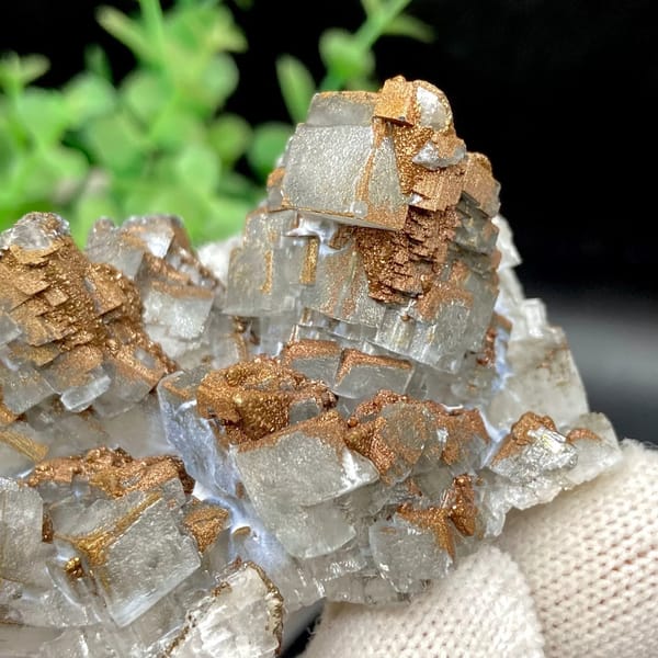 Clear Iceland spar calcite rhombs with iridescent pyrite coating from Hunan, China, view 3 of 9