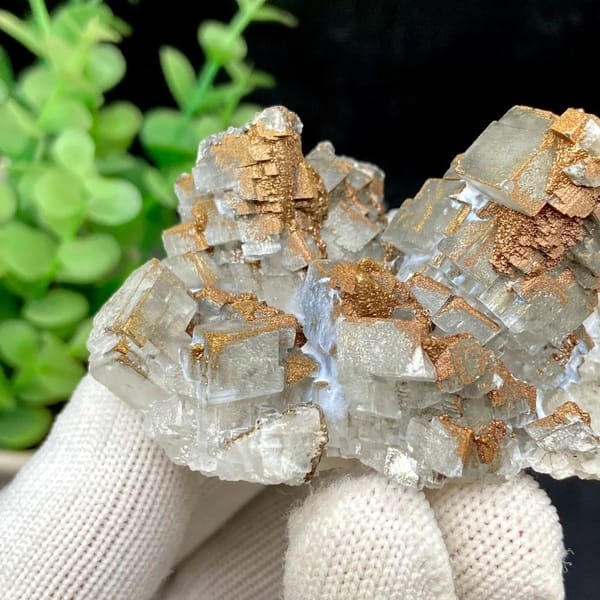 Clear Iceland spar calcite rhombs with iridescent pyrite coating from Hunan, China, view 4 of 9