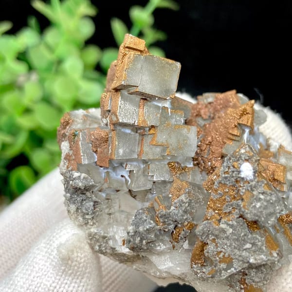 Clear Iceland spar calcite rhombs with iridescent pyrite coating from Hunan, China, view 5 of 9