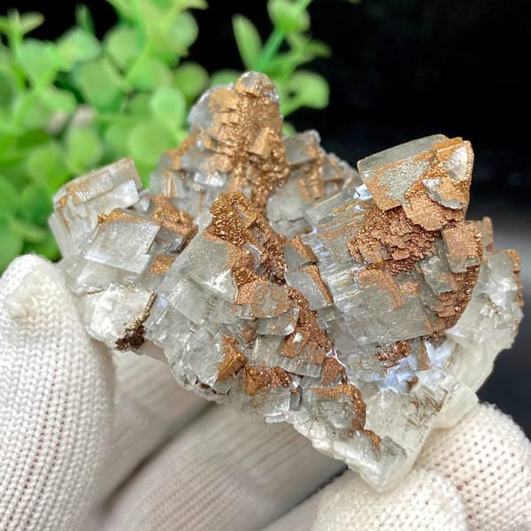 Clear Iceland spar calcite rhombs with iridescent pyrite coating from Hunan, China, view 6 of 9
