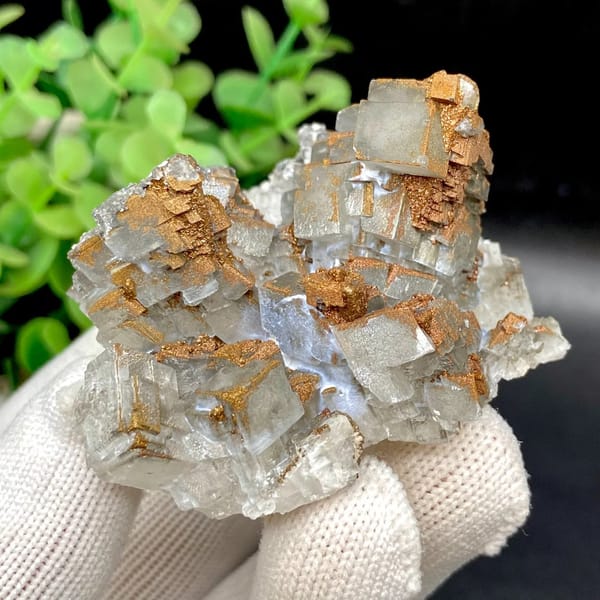 Clear Iceland spar calcite rhombs with iridescent pyrite coating from Hunan, China, view 7 of 9