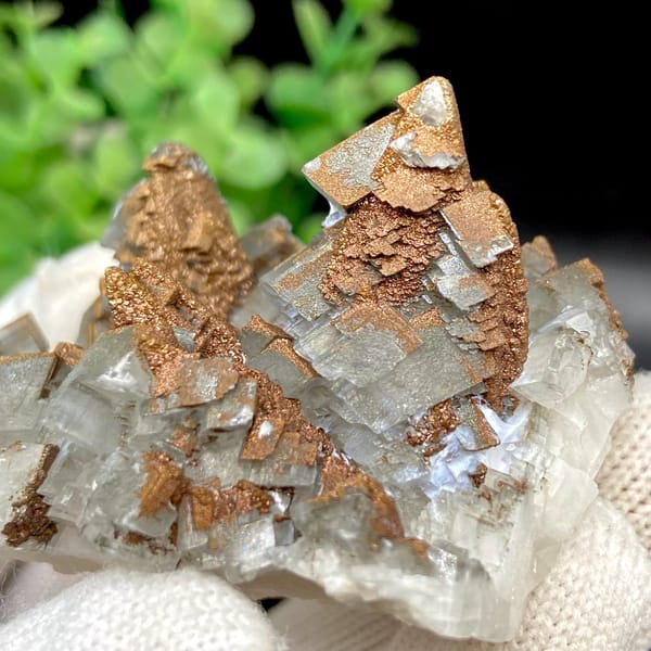 Clear Iceland spar calcite rhombs with iridescent pyrite coating from Hunan, China, view 8 of 9