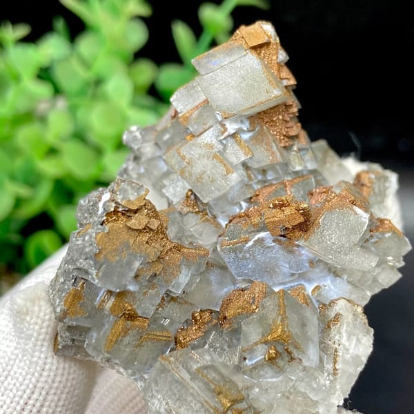 Clear Iceland spar calcite rhombs with iridescent pyrite coating from Hunan, China, view 9 of 9
