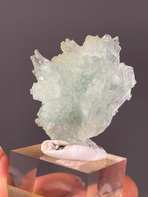Pale green radiating fan cluster visible on clustered blue aragonite specimen from Yunnan, China