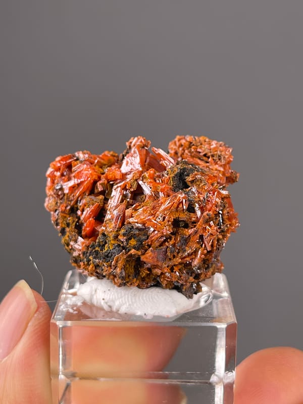 Crocoite specimen from Australia featuring orange-red lustrous blades