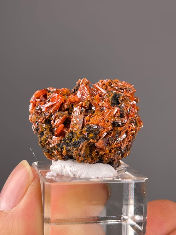 Crocoite specimen from Australia showing orange-red lustrous blades
