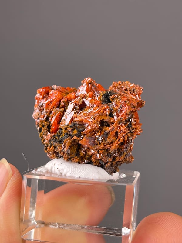 Crocoite specimen from Australia, defined by orange-red lustrous blades